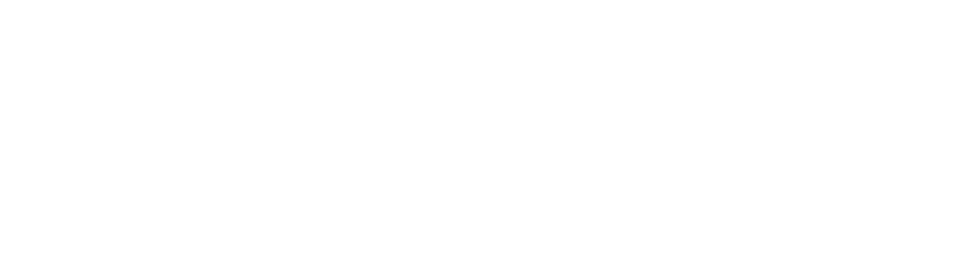 CyberNetAE